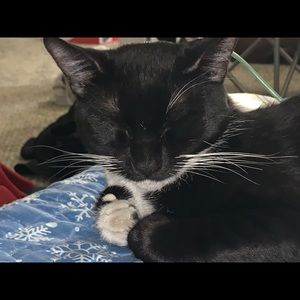 Meet your Posher, Jose